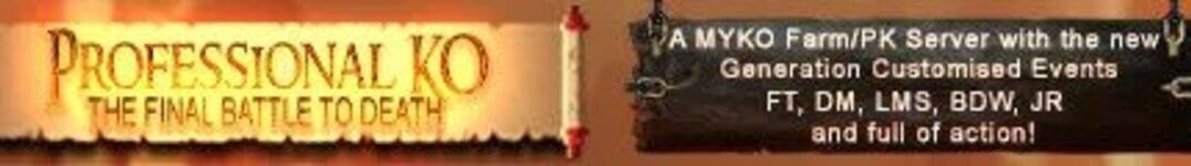 ProfessionalKO banner